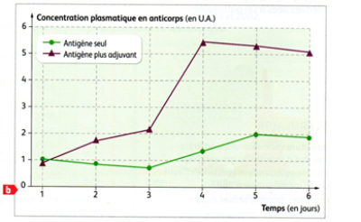 Adjuvants