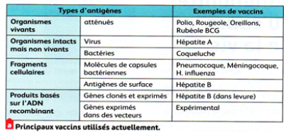 Principaux vaccins